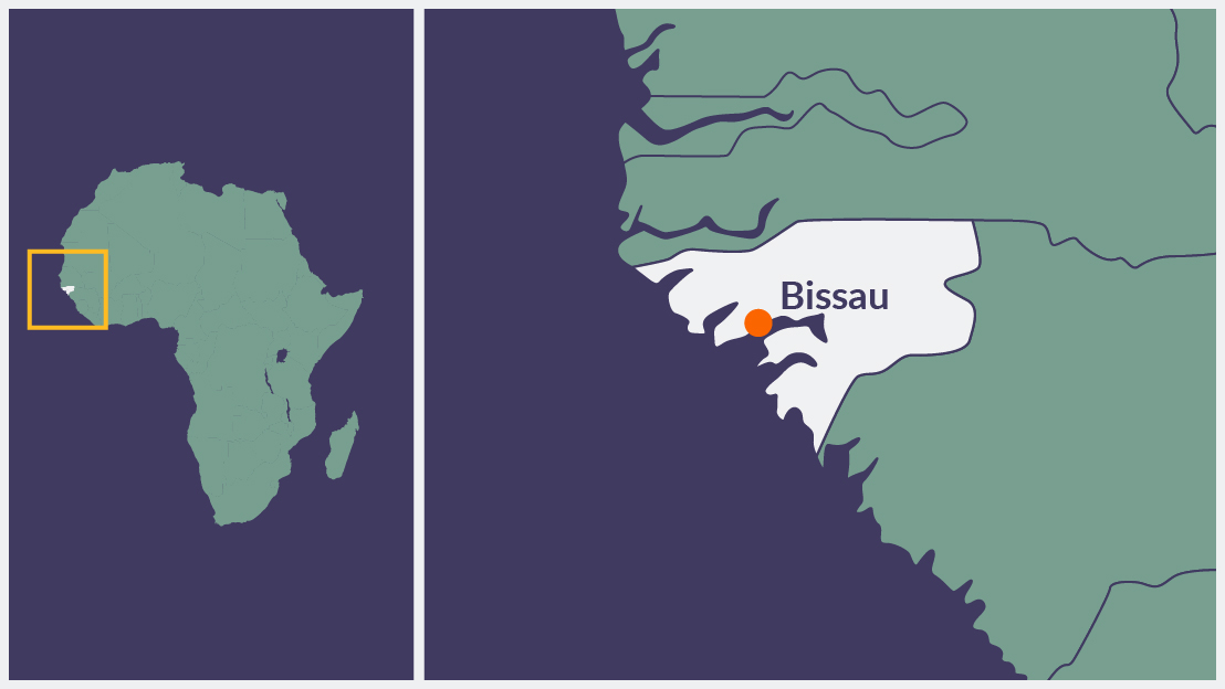 FlowersinGuinea-Bissau